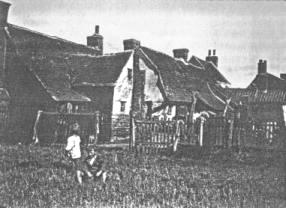 Fish St cottages from the rear